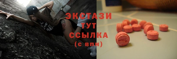 сатива Верея