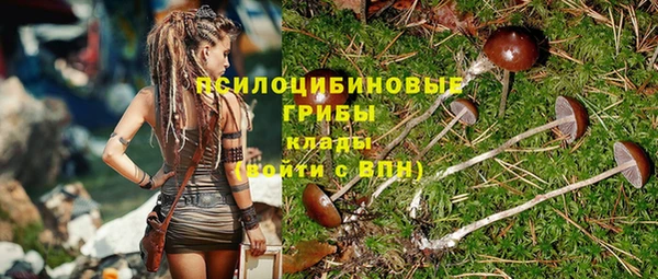 apvp Бронницы
