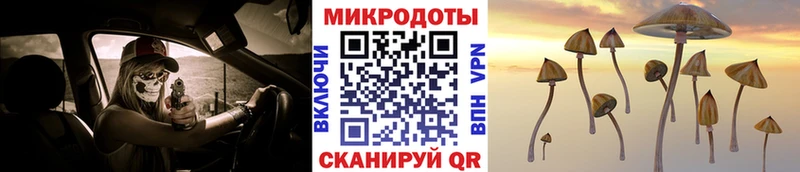 Галлюциногенные грибы Psilocybe  Черкесск 