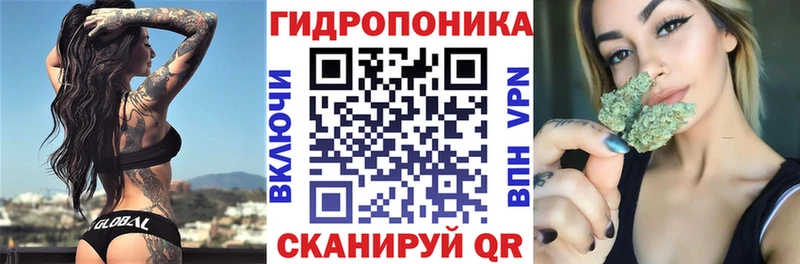 Бошки марихуана план  площадка официальный сайт  Черкесск  omg ТОР 
